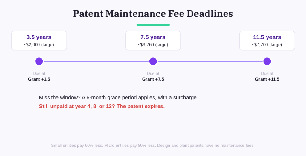 Timeline of patent maintenance fee deadlines at 3.5, 7.5, and 11.5 years after grant, showing escalating large-entity fees and the six-month grace period before a patent expires