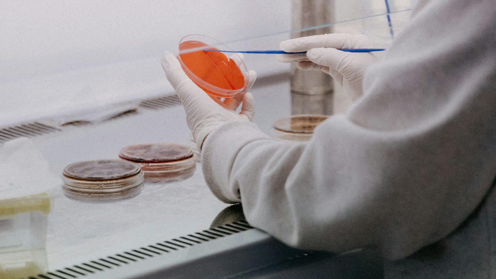 Patent Lawyer for Diagnostics and Laboratory Tools | Schell IP | Schell IP: Premier Patent Law Support | Schell IP: Premier Patent Law Support Laboratory tools and equipment used in scientific testing