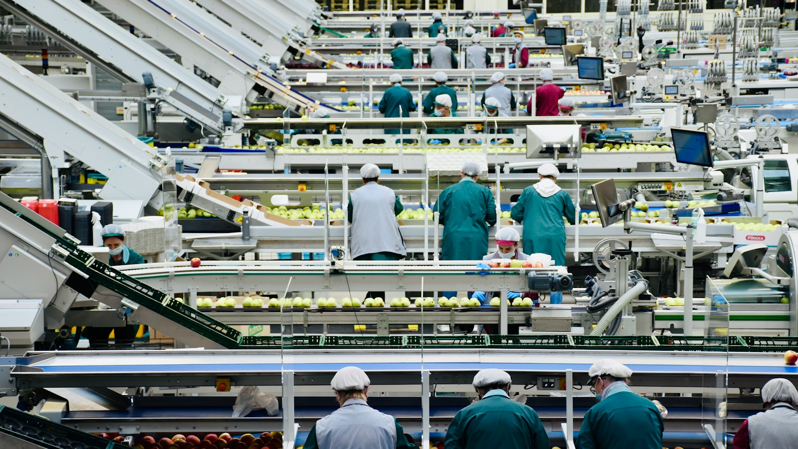 Patent Lawyer for Food and Beverage Products | Schell IP | Schell IP: Premier Patent Law Support | Schell IP: Premier Patent Law Support Equipment processing food products on a production line